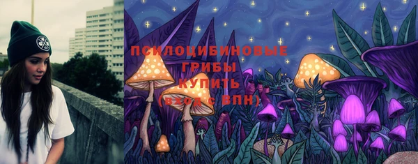 меф Пересвет